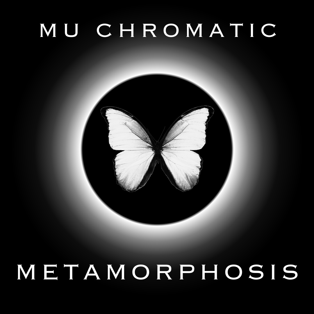 STREAM METAMORPHOSIS ON APPLE MUSIC AND SPOTIFY NOW!