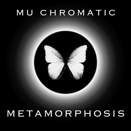 STREAM METAMORPHOSIS ON APPLE MUSIC AND SPOTIFY NOW!