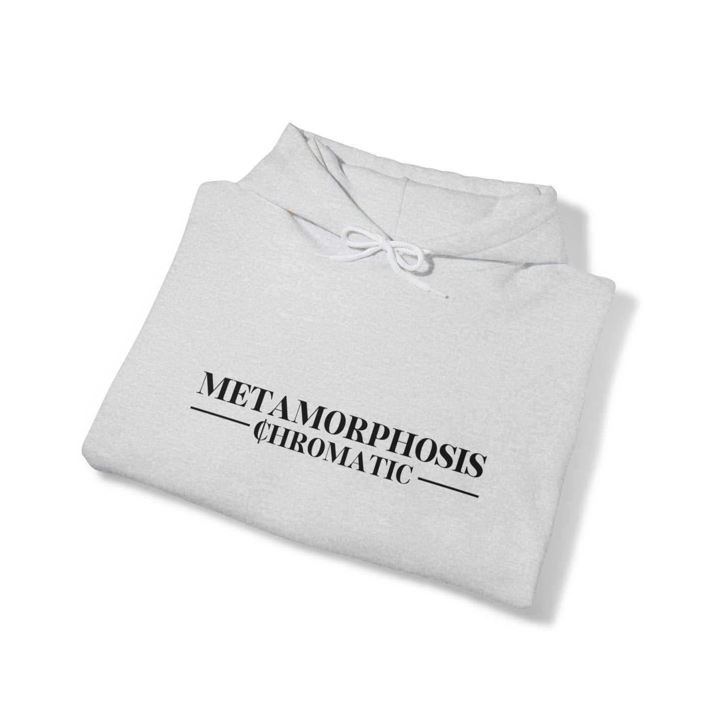 METAMORPHOSIS - Unisex Heavy Blend™ Hooded Sweatshirt