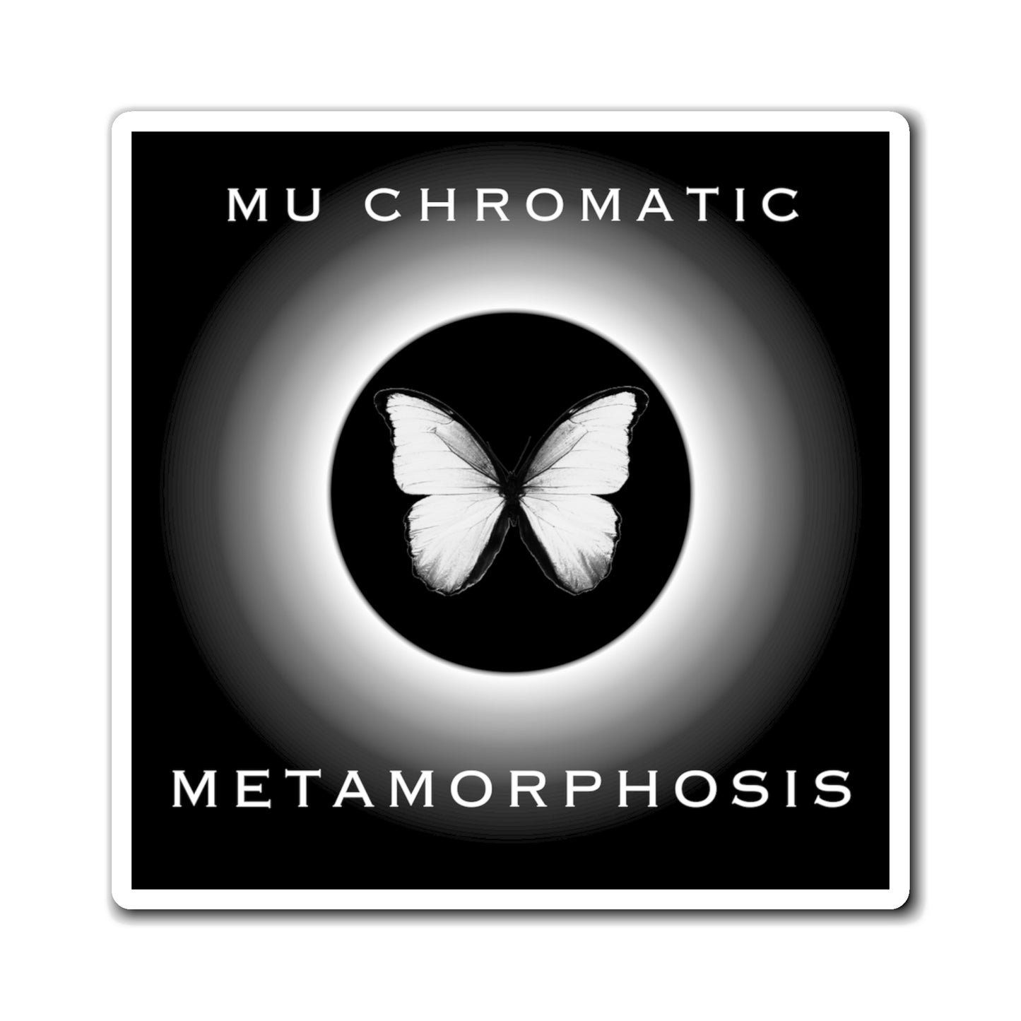 METAMORPHOSIS - Magnets