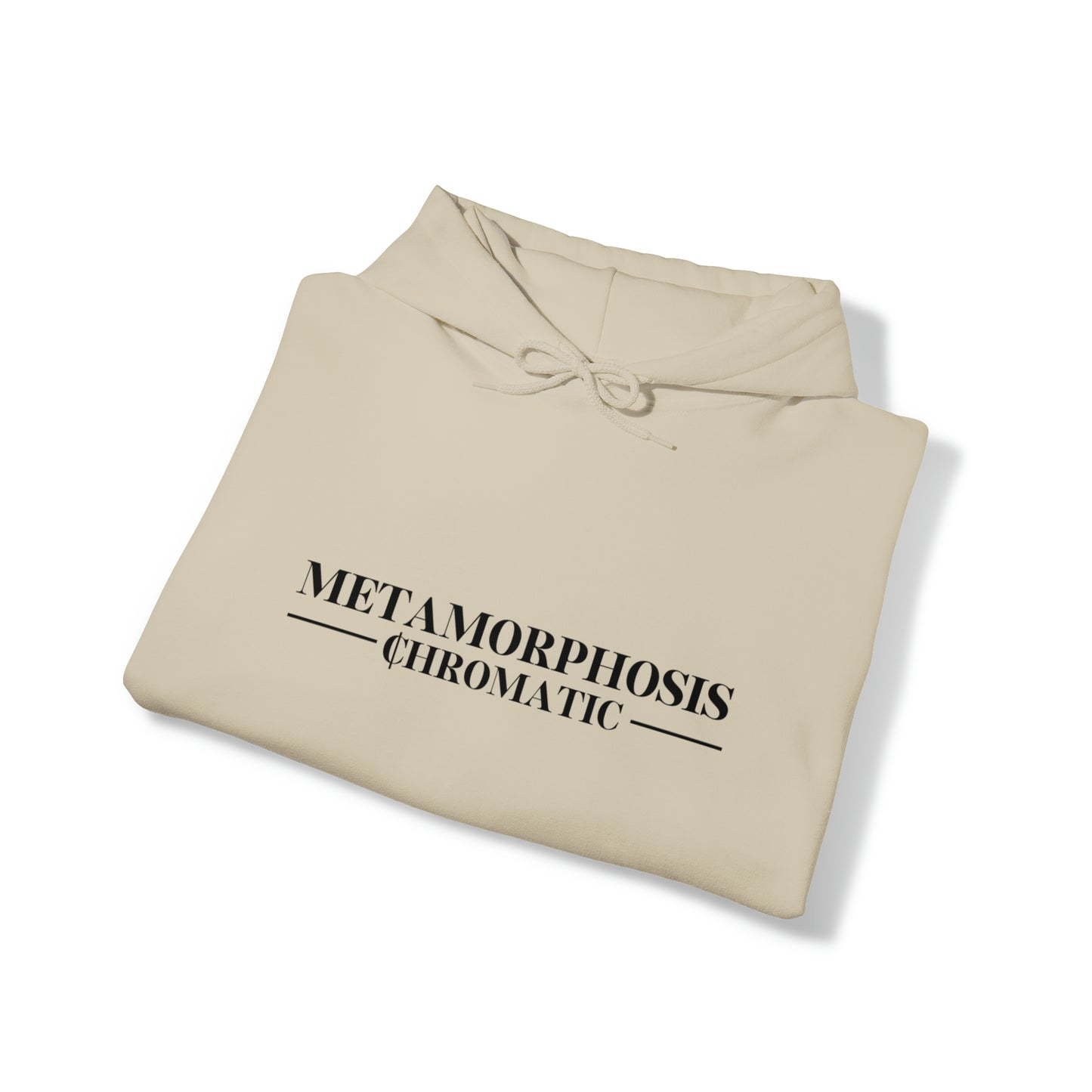 METAMORPHOSIS - Unisex Heavy Blend™ Hooded Sweatshirt