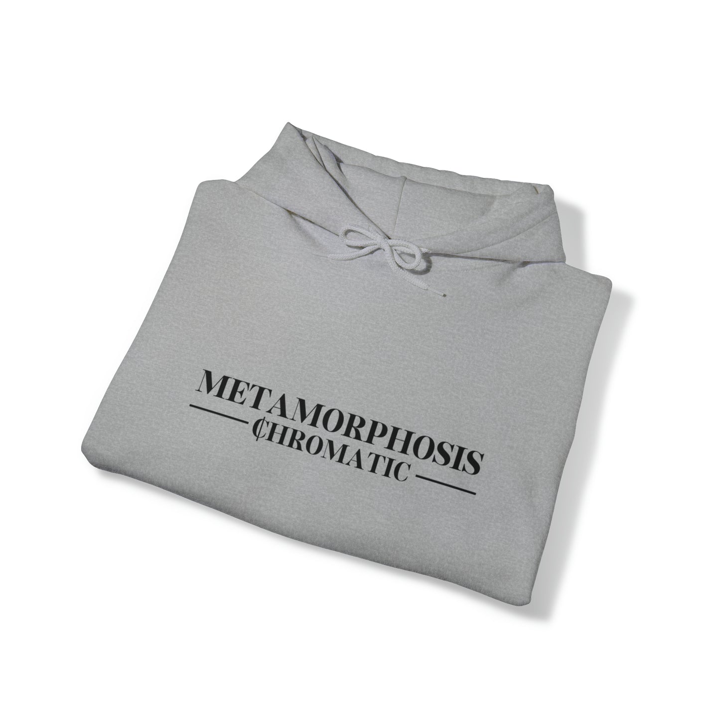 METAMORPHOSIS - Unisex Heavy Blend™ Hooded Sweatshirt