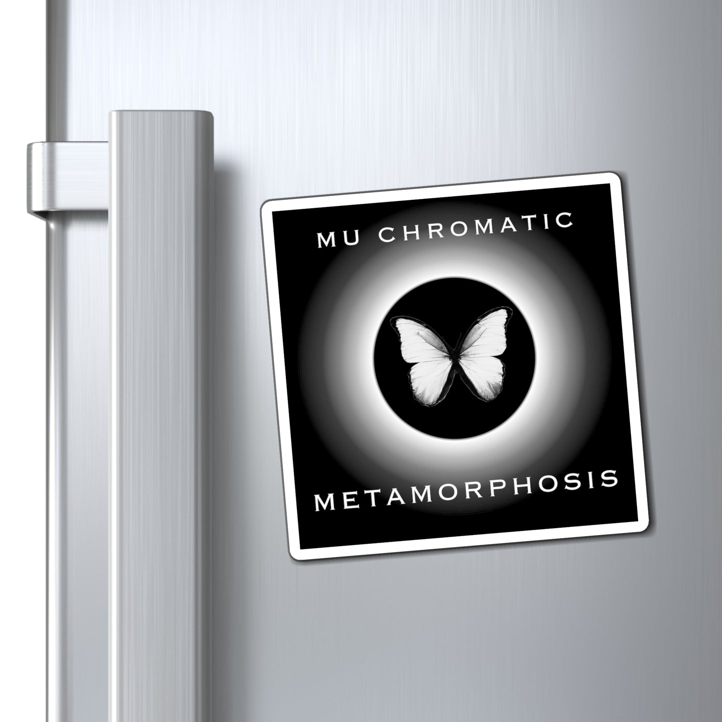 METAMORPHOSIS - Magnets