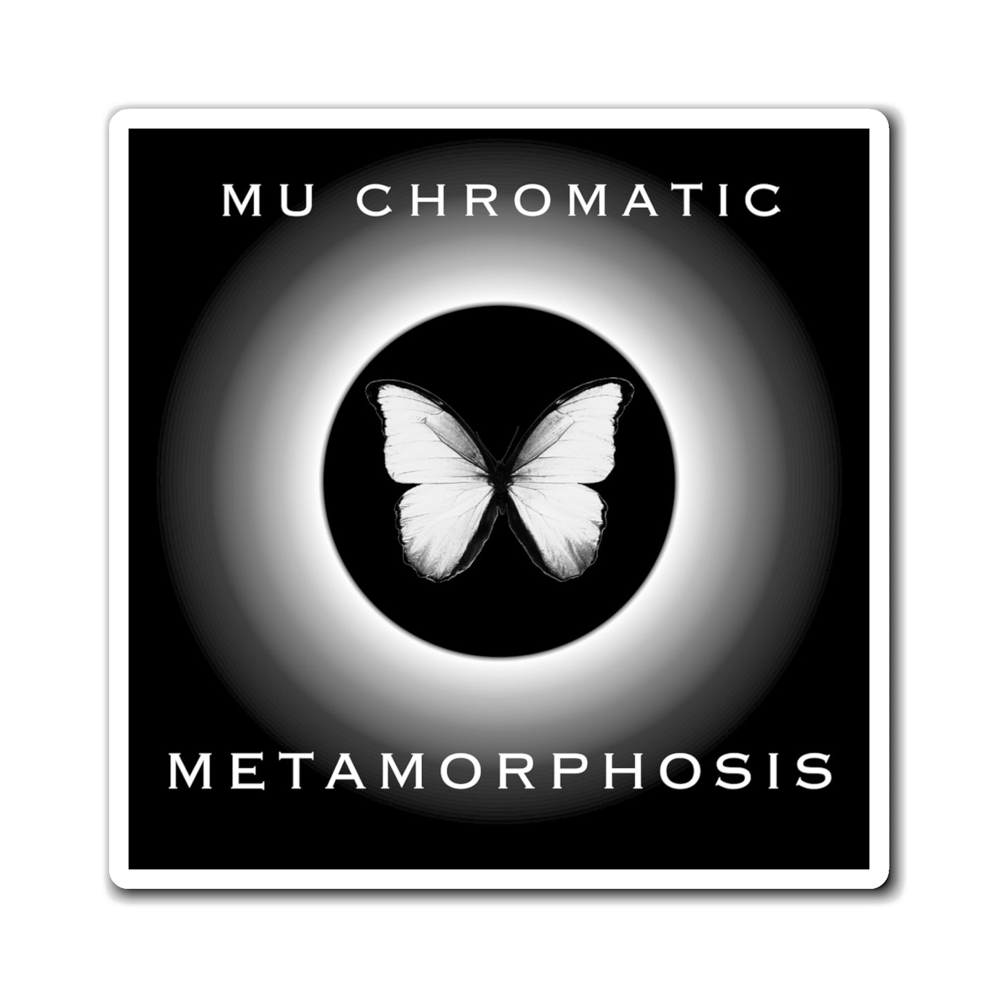 METAMORPHOSIS - Magnets